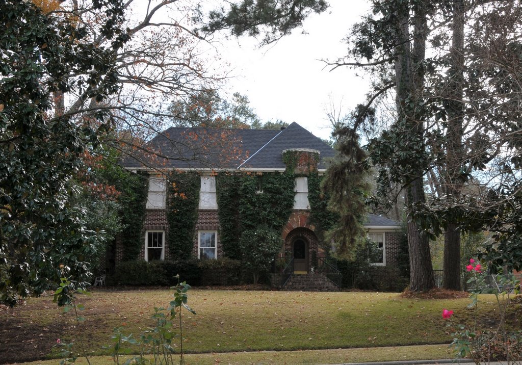 The house I grew up in - 1/12/2008 by ShreveportPics