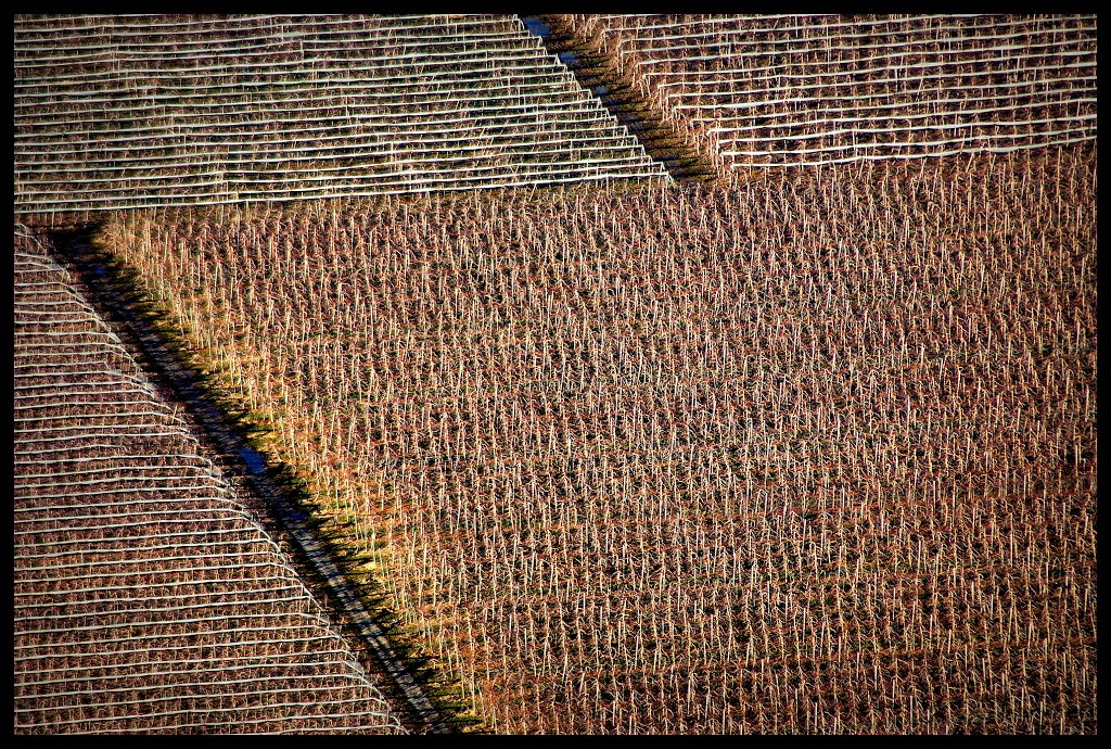 CHATEAUNEUF-DE-CHABRE - Dans les pommes by Christolène