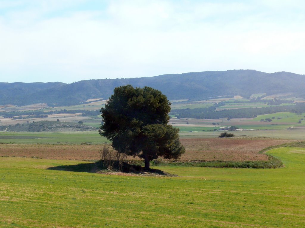 Paisaje Rural. Alicante. by Isaac A. García Masi…