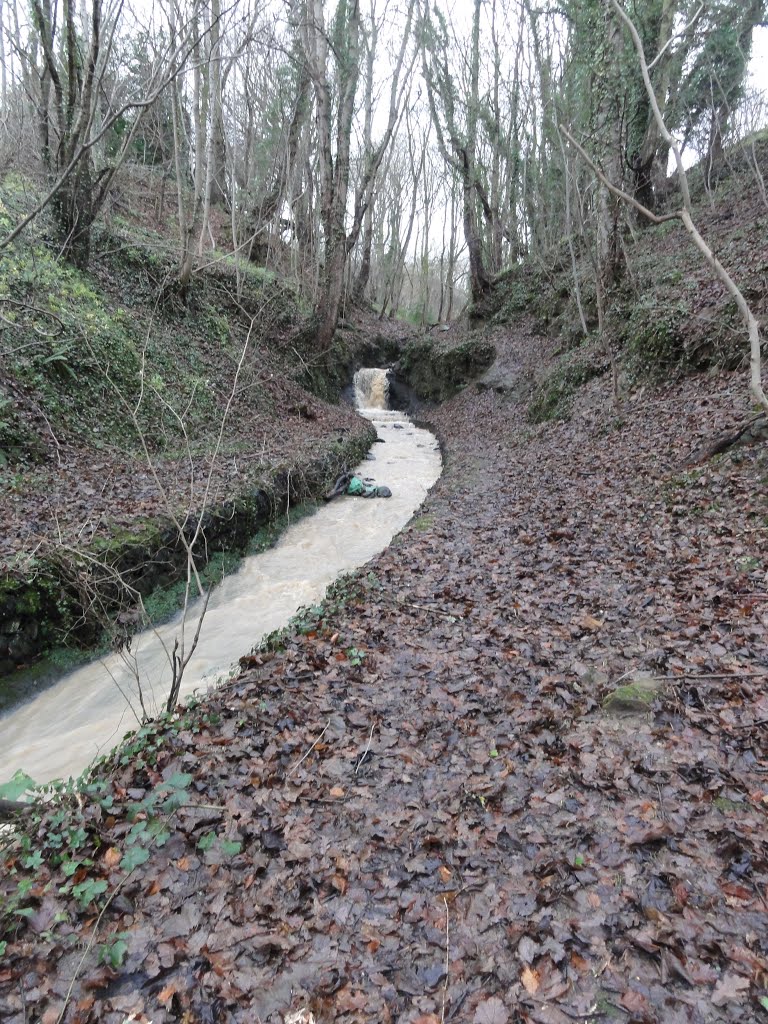 Wellhead Dene in Full Flow by guide paul