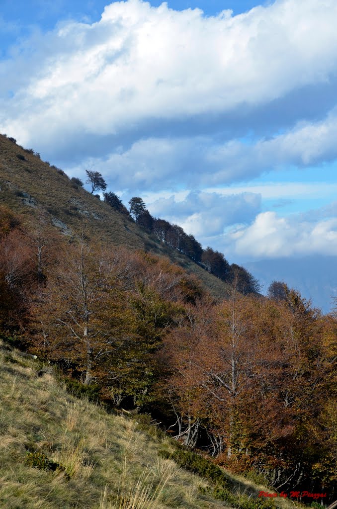 In mezzo alle nuvole sul Monte Zeda - 16 by Maurizio Piazzai