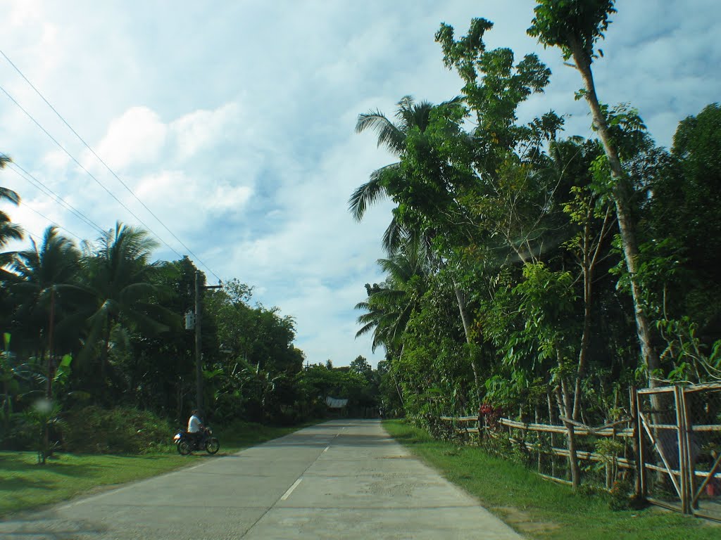 Balilihan road by jedsum