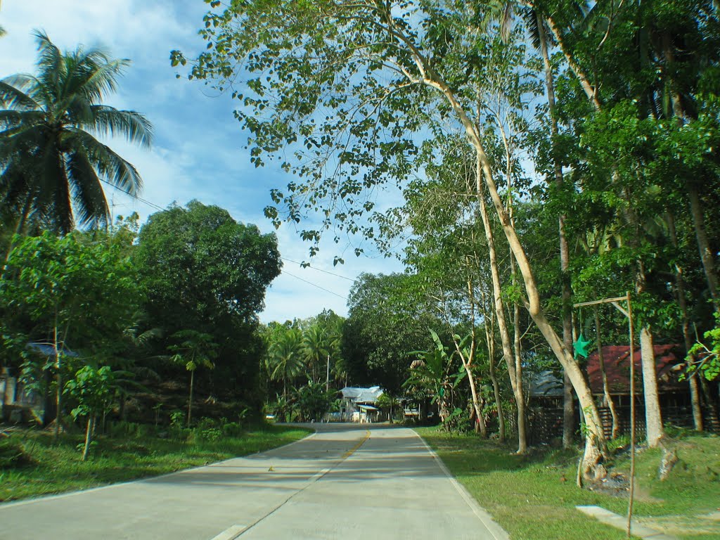 Balilihan road by jedsum