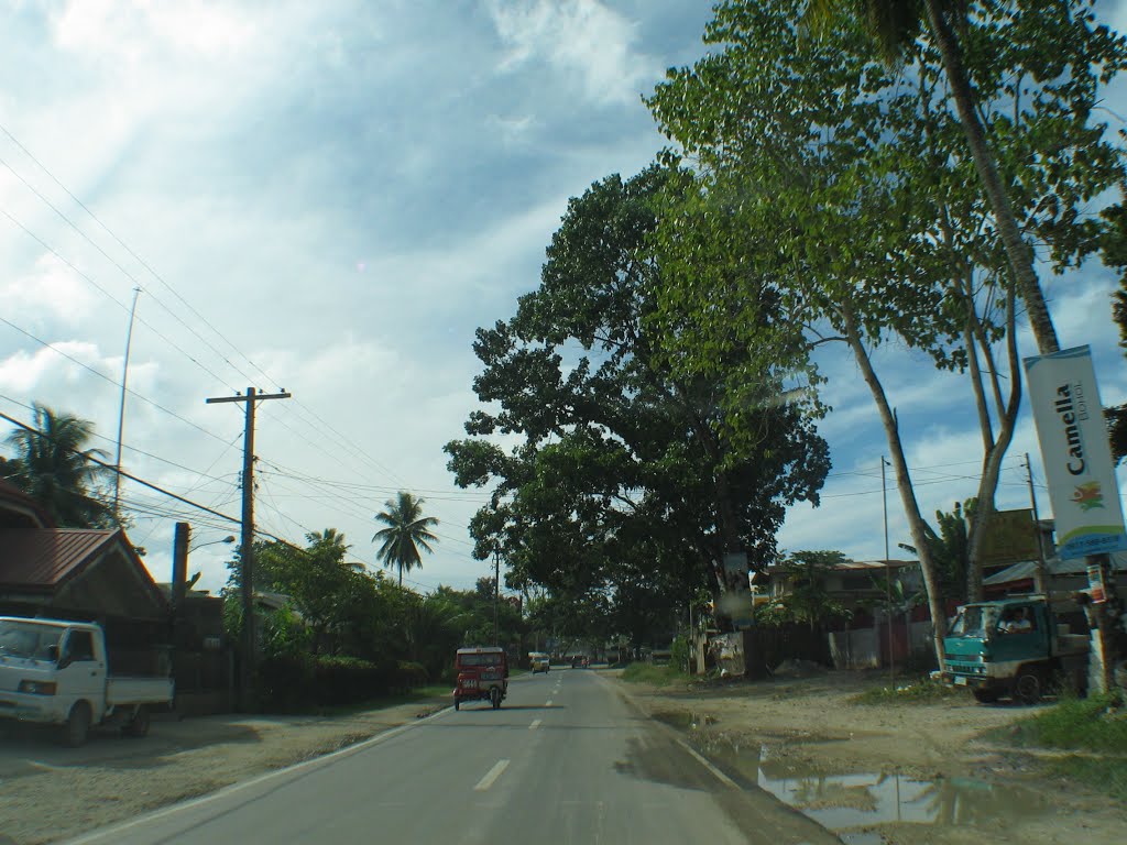 Tagbilaran road by jedsum