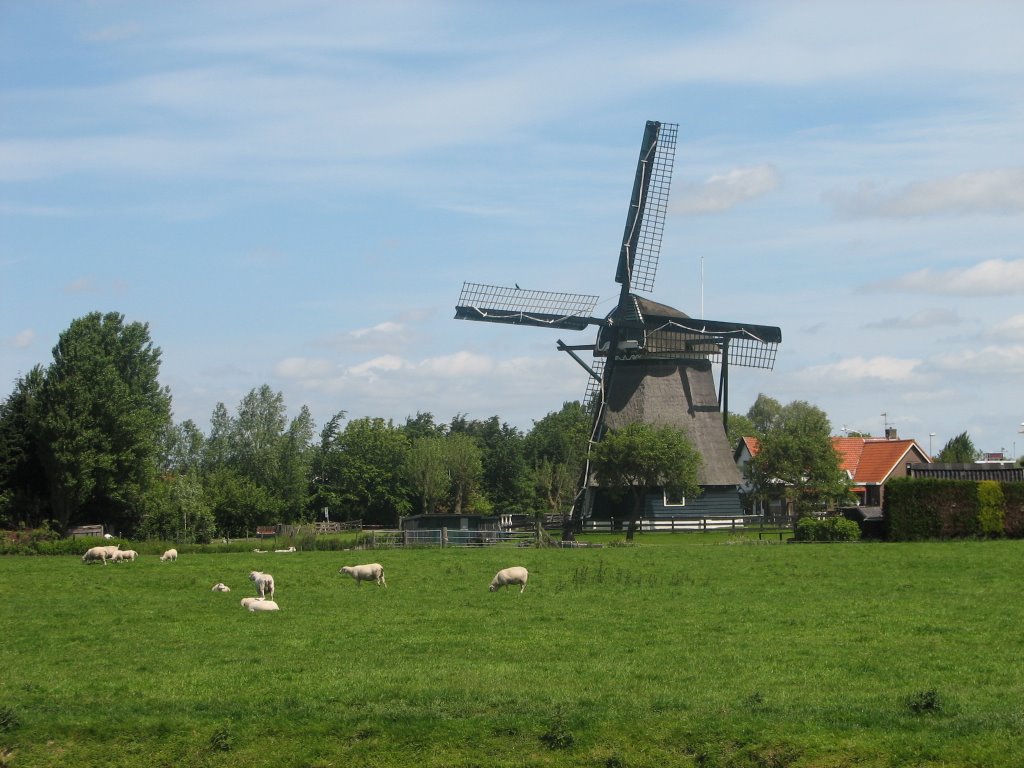 Molen de Dog Uitgeest by bobrodenburg