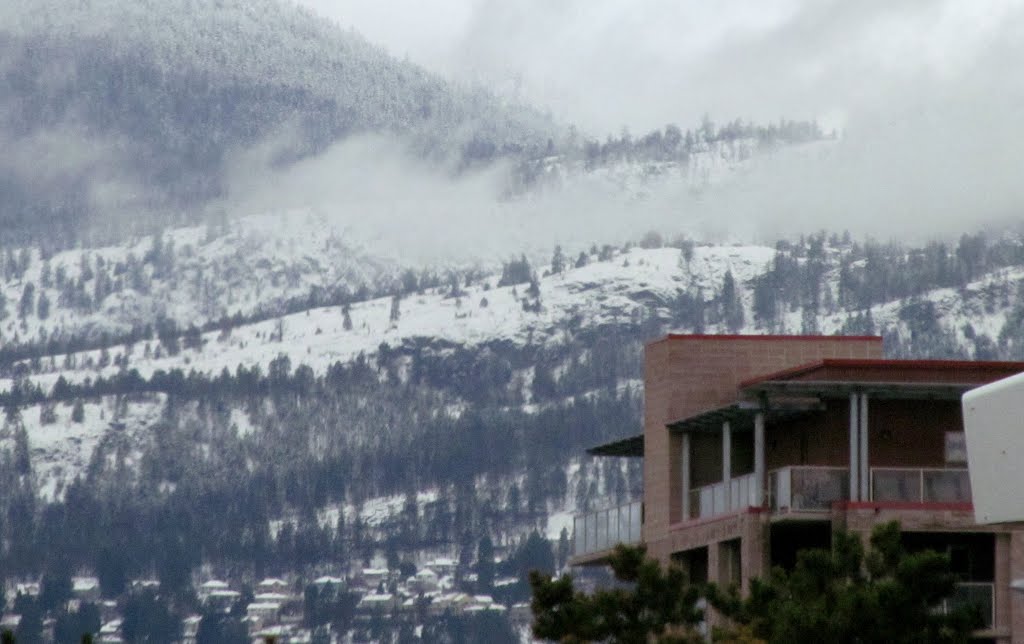 Wintery Mountain Slopes Above Kelowna BC Dec '12 by David Cure-Hryciuk