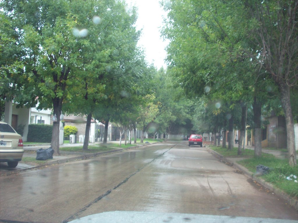 Calle Avellaneda, tarde de lluvia by Raúl Adrián Barrios