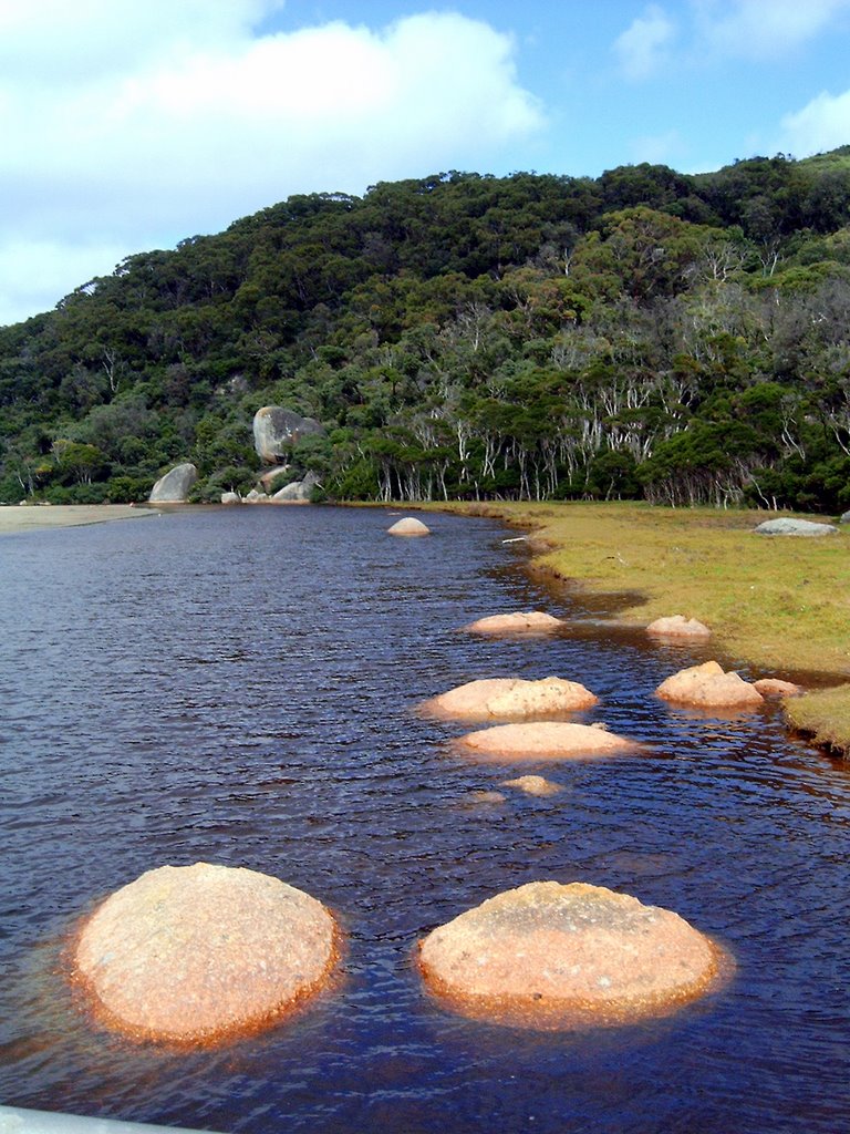 Looking towards Whale Rock by Gilmour Family