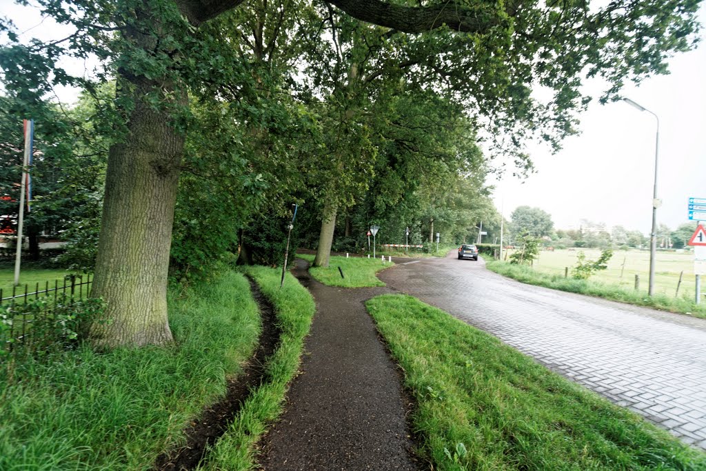 Santpoort-Noord - Duin- en Kruidbergerweg - View ENE by txllxt