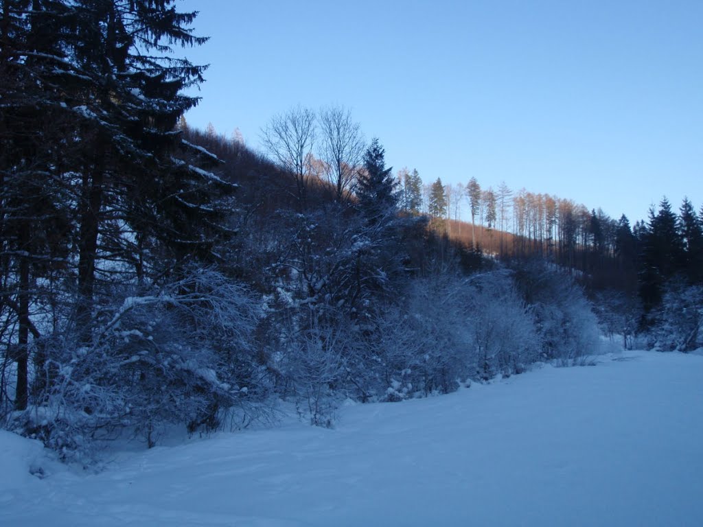 Zvažnica (zima) by HomerJ.