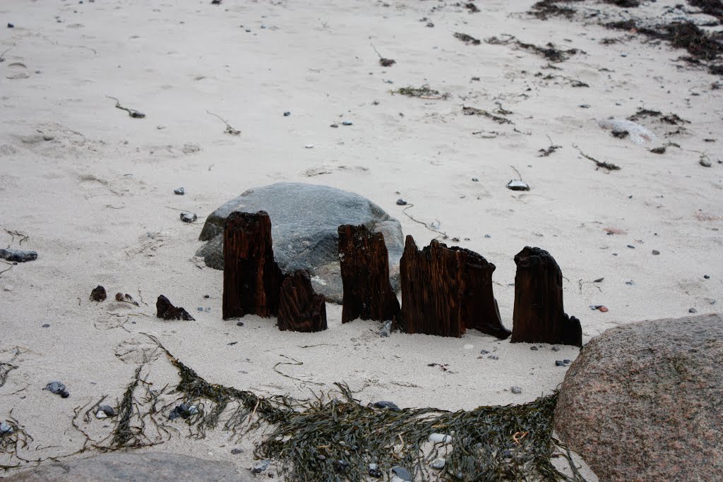 Corselitze - Strand mit alten Holzstämmen by FotoAxel