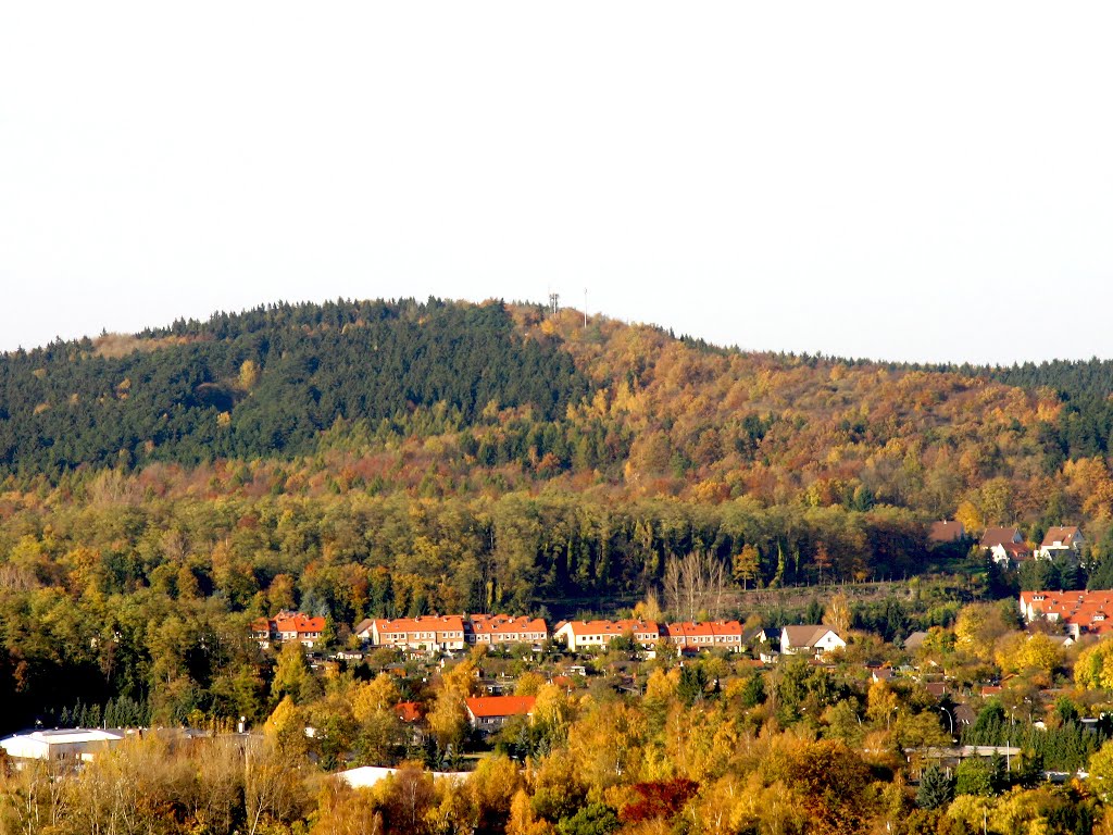 Der Hamberg in Salzgitter-Bad by Hans-Georg Knöß