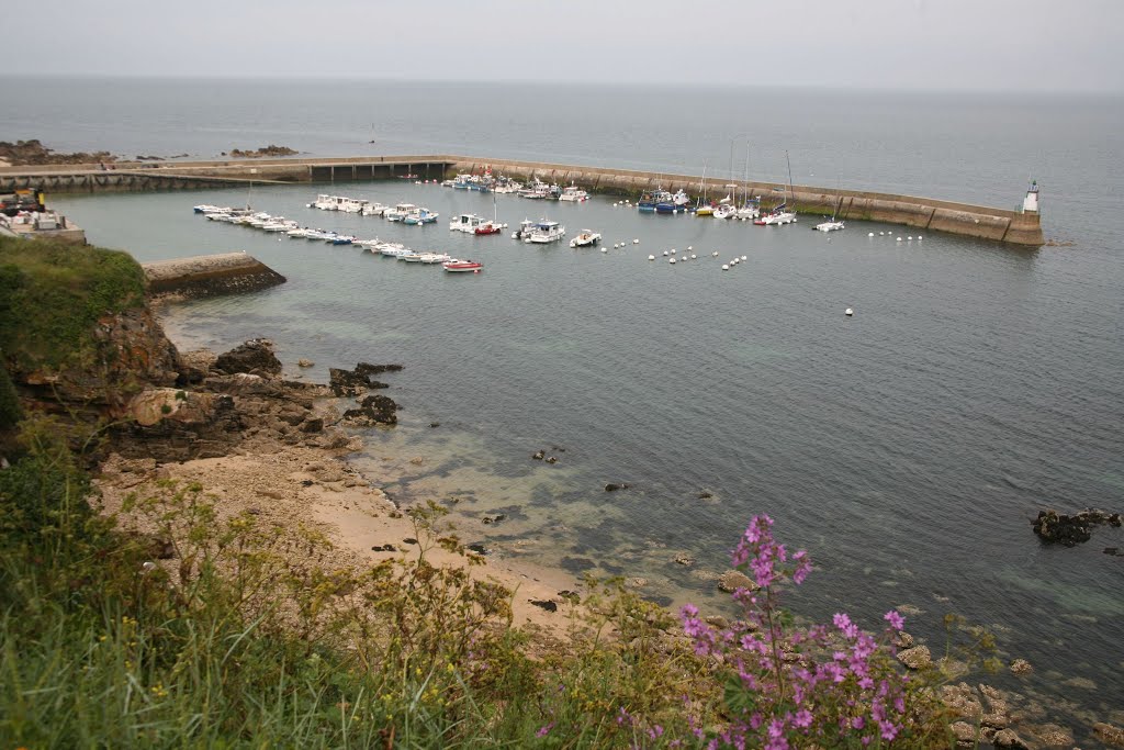 Houat, Île-d'Houat, Morbihan, Bretagne, France by Hans Sterkendries