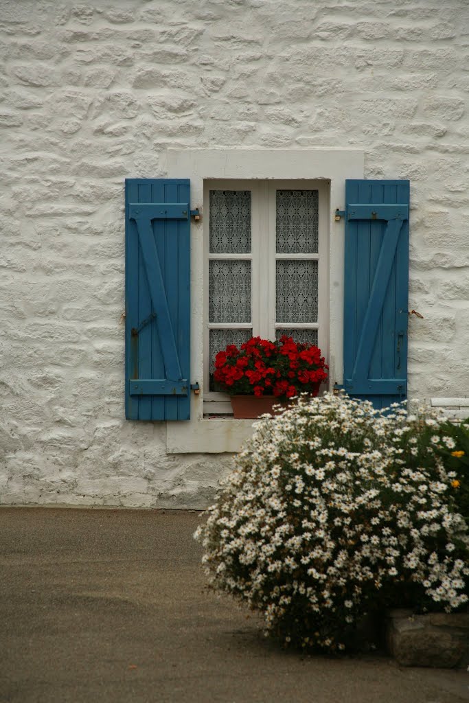 Houat, Île-d'Houat, Morbihan, Bretagne, France by Hans Sterkendries