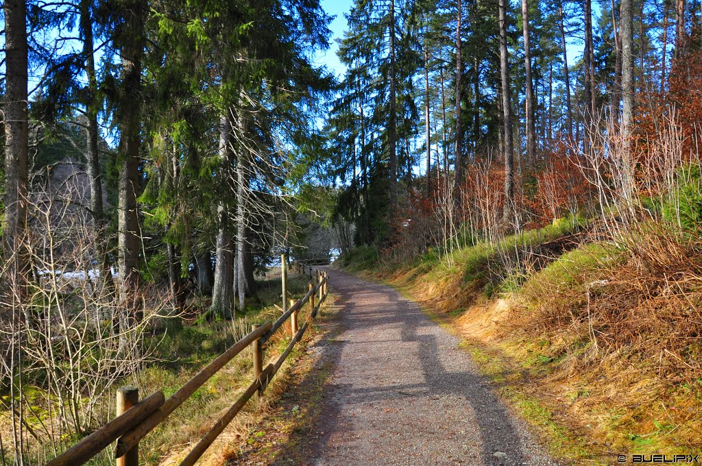 Wanderweg am Schlüchtsee (© Buelipix) by Buelipix