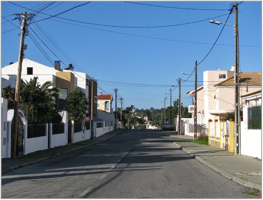 Rua Rogério Amaral - Quinta de Valadares by Barragon