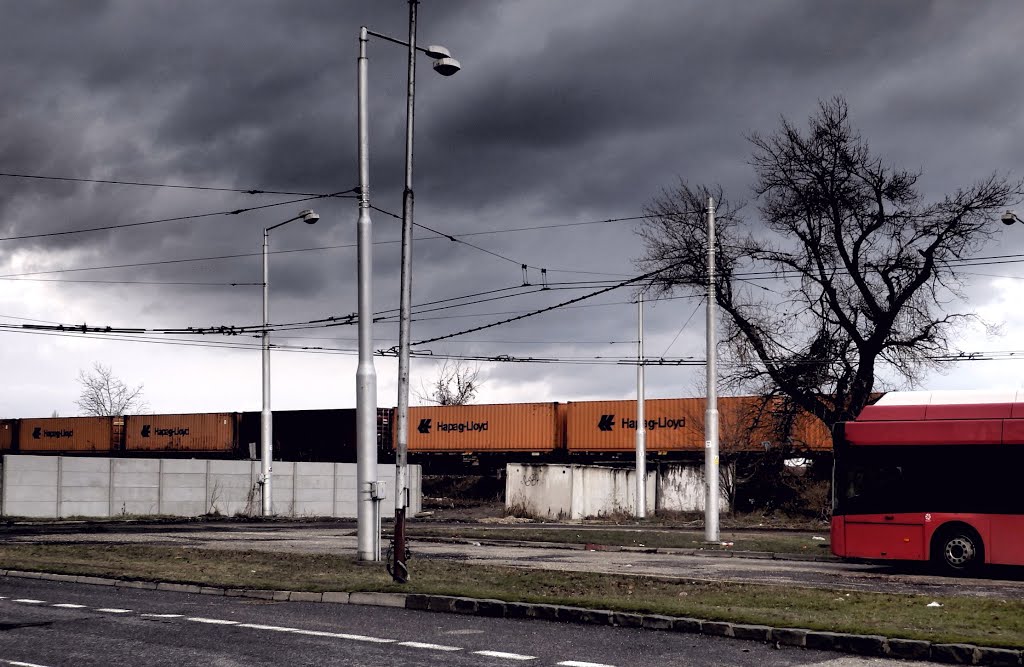 Container Train, Bratislava Vrakuňa, Slovakia by karolplus