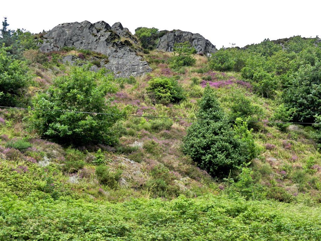 Machynlleth by Yanat