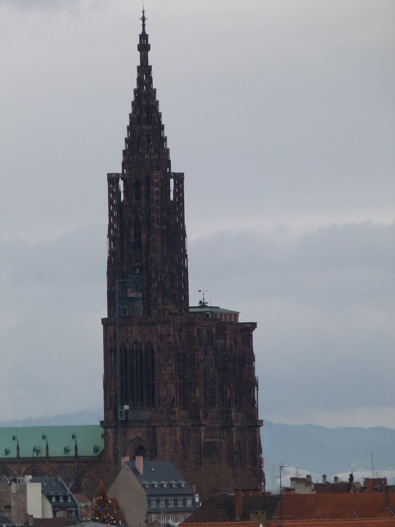 Strassburg - view from the top of the new parking - the dom by stevenvanValen+hannekeRolloos