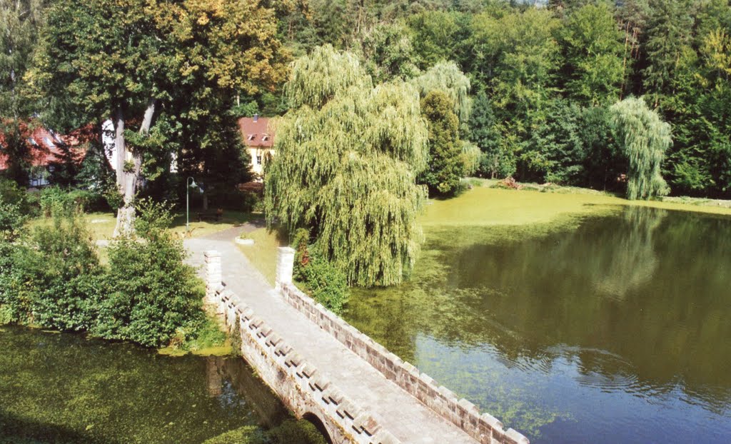 Jagdschloss-Fröhlichwiederkunft / Wolfersdorf 2 by Grunert Th.