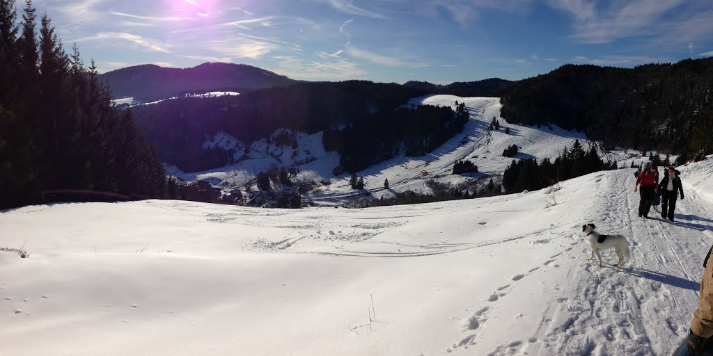 Hof Bernau im Schwarzwald, Deutschland by Piter Wilde