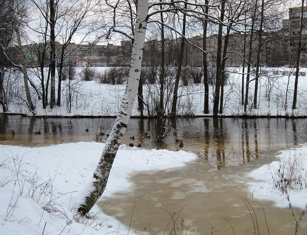 Okkervil River after the January rains / Оккервиль после январских дождей by Irreligious