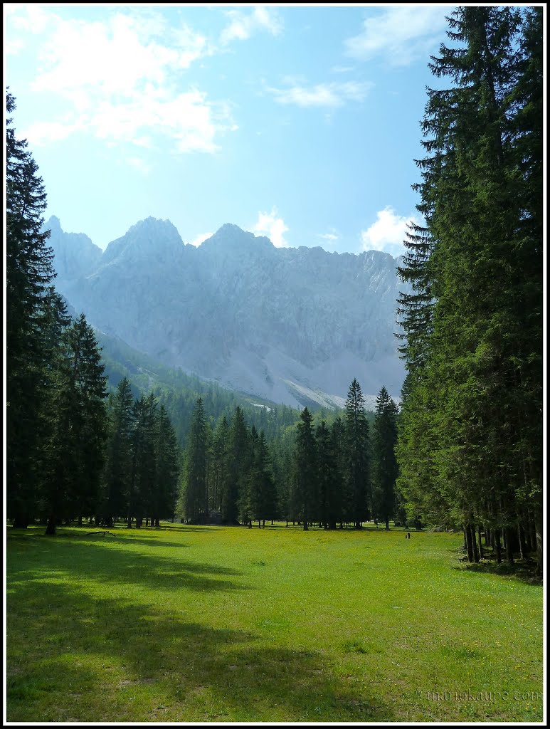 Kärnten Ferlach Österreich by mario.kaupe