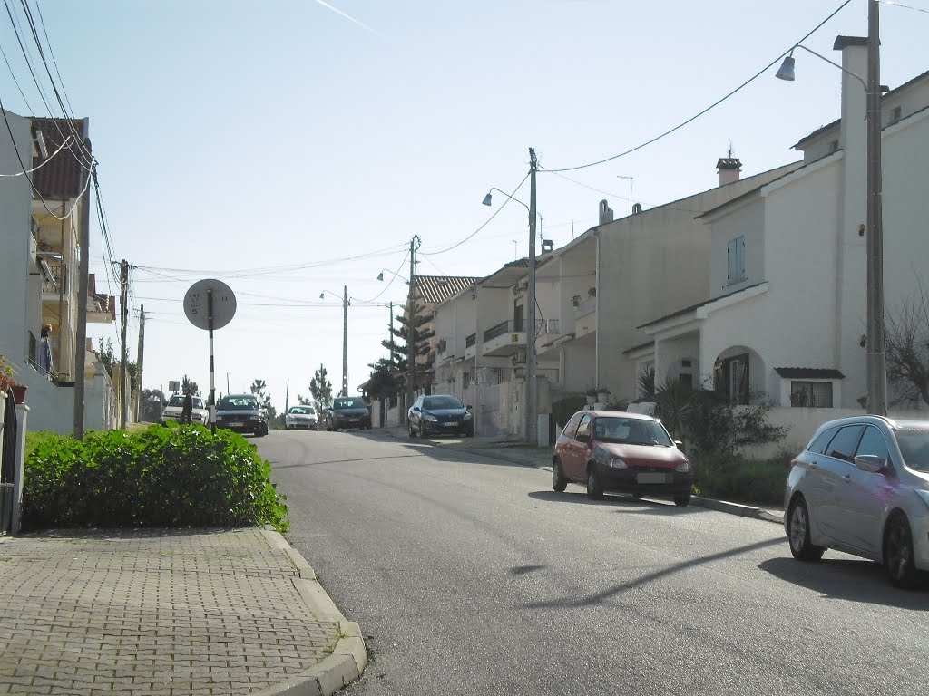 Rua António Botto - Vale de Milhaços by PortugalPhotos