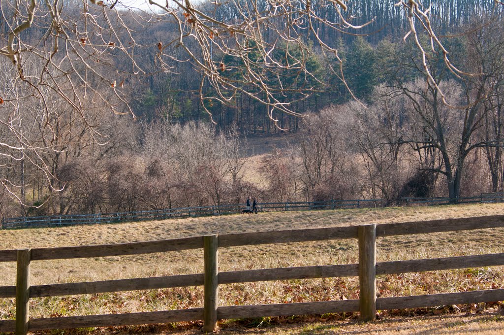 Cromwell Valley Park by smh2005