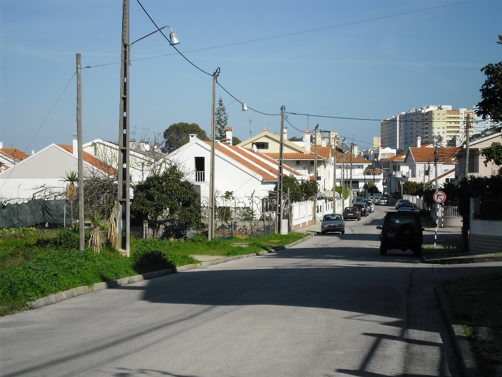 Rua Dom Francisco de Melo - Vale de Milhaços by PortugalPhotos