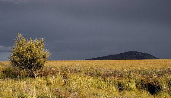 The Sally Gap, Wicklow, Ireland by 2c