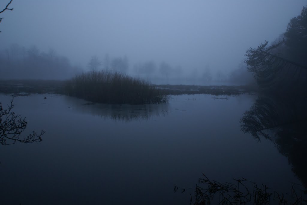 Fog at Mosvatnet by Erlend Tøssebro