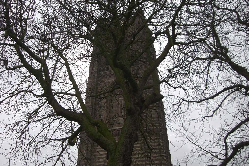 Oirschot; toren Sint Petruskerk achter de bomen (Trudi) by Trudi