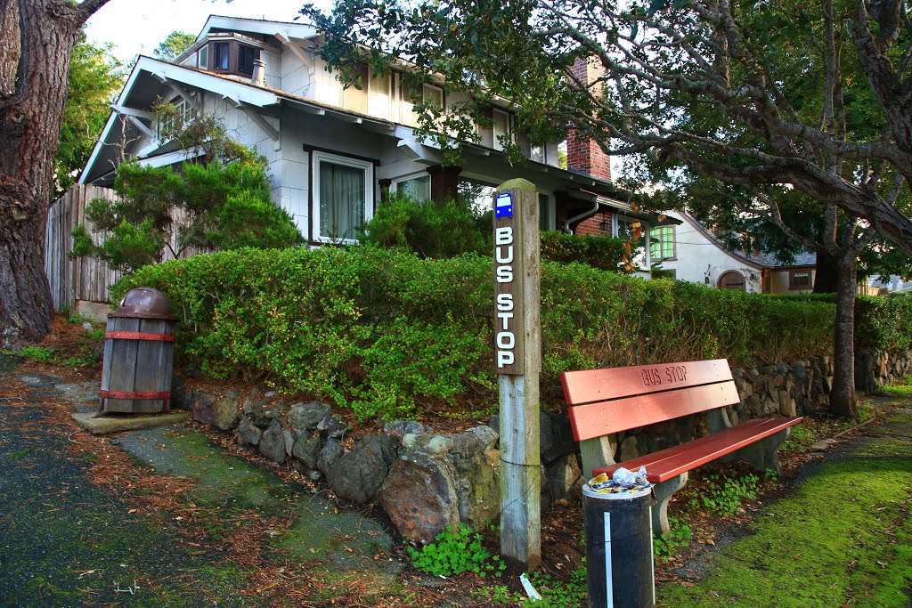 Bus Stop by jingchensun