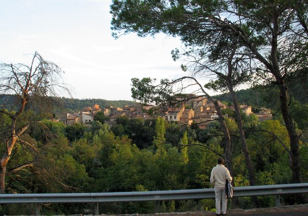 Sillans la Cascade, Provence by svengte