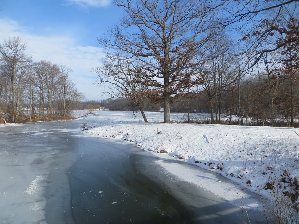 Frozen Streaters Mill Pond (Newberg, MI) by UnagiUnagi