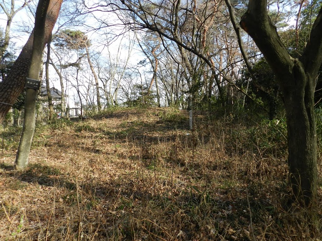 邑楽町松本公園　松本古墳群12号墳 by enkyo