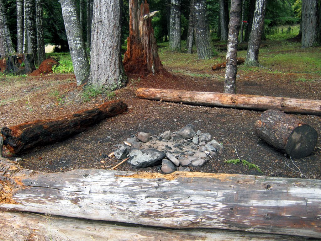 Fire Ring in the Woods by C.Hansen