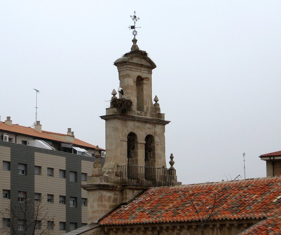 Zamora - Cigueña en el campanario de la Ermita de Nuestra Señora de los Remedios. by R.F.Rumbao