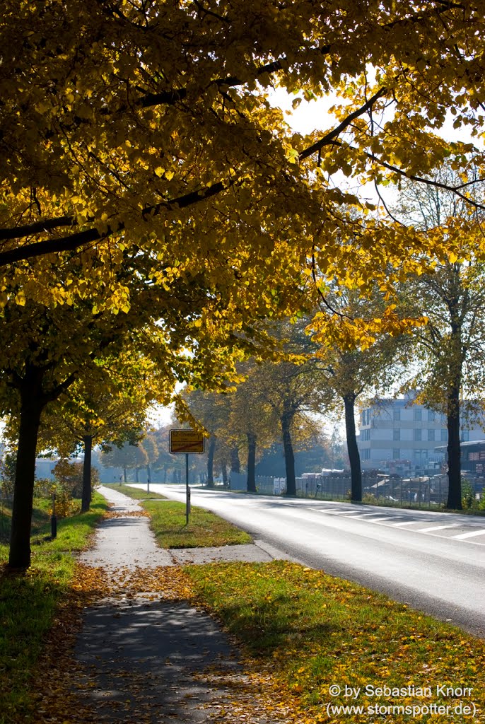 Golden autumn around Braunschweig - October 2012 by Sebastian Knorr