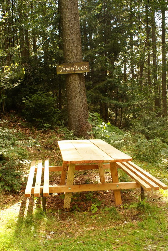 Jägerfleck über der Kuckanstal (Harz) by Altmeister