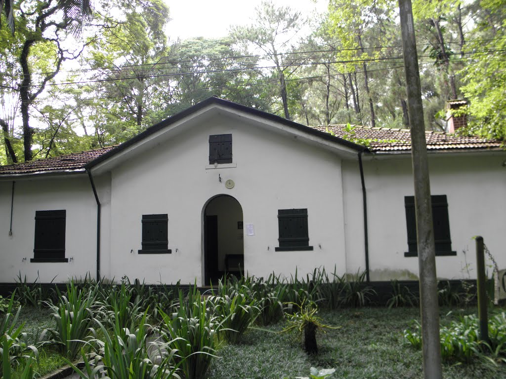 Parque do Piqueri - Tatuape, São Paulo, República Federativa do Brasil by JVEfotos