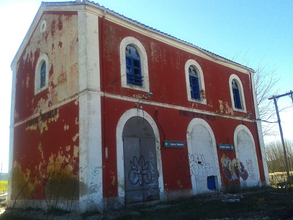 Estación de Paredes de Melo -foto denuncia- by Gatoland