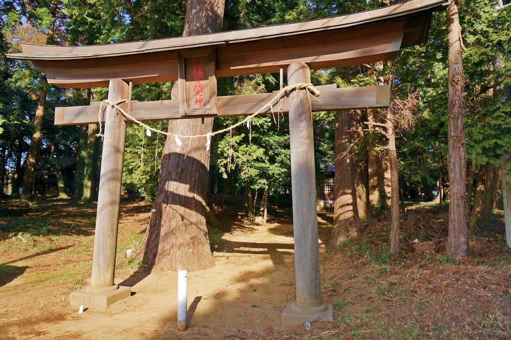 大社宮門大神 -Taisha Miyakado Ōkami Shrine- by Saruman8000