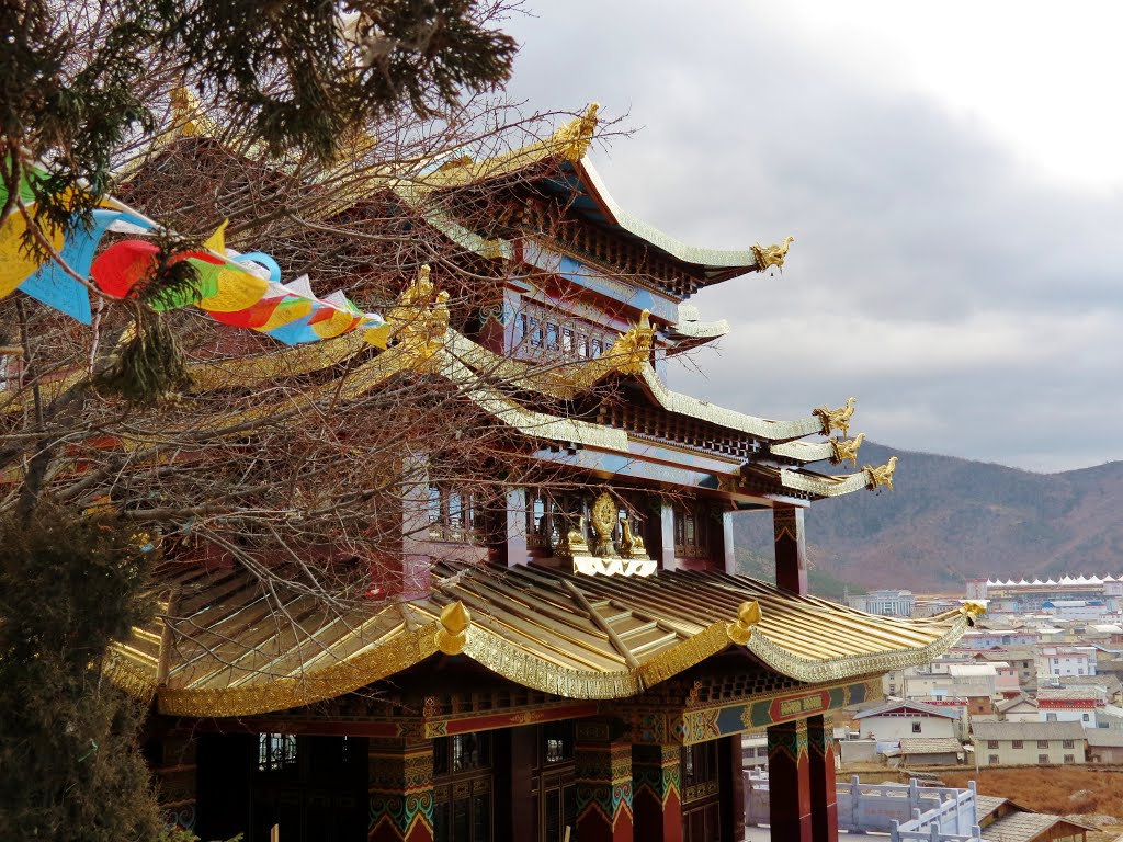 Shangri-La 香格里拉 - 藏經堂 Ganden Sumtseling Monastery by Peter Mok