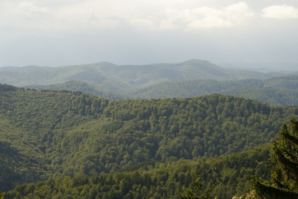 Blick vom Ravensberg (Harz) by Altmeister