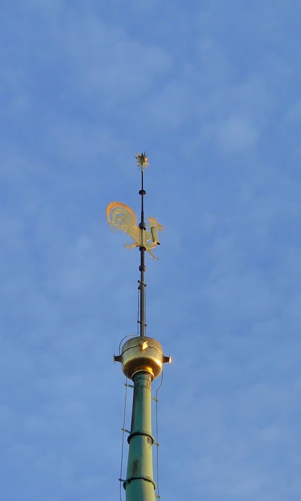 Crimmitschau (SN) - Blick die Wetterfahne und Turmspitze der Kirche St. Laurentius by Thomas Eichler