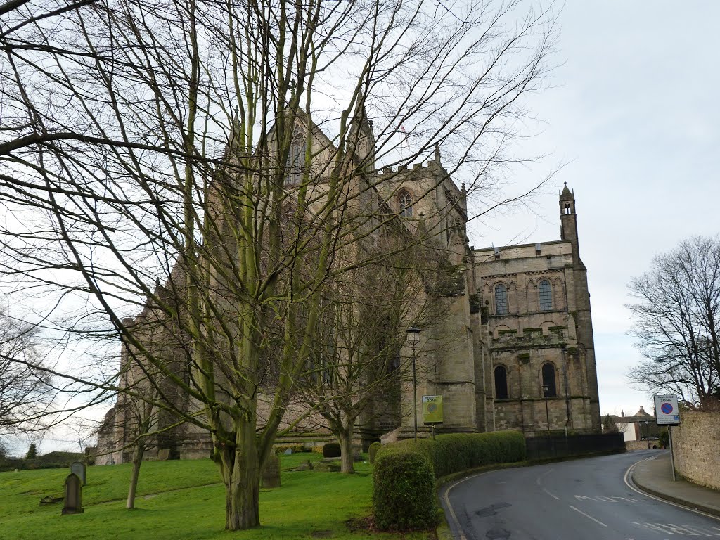 Ripon Cathedral, Ripon by Damon Stead