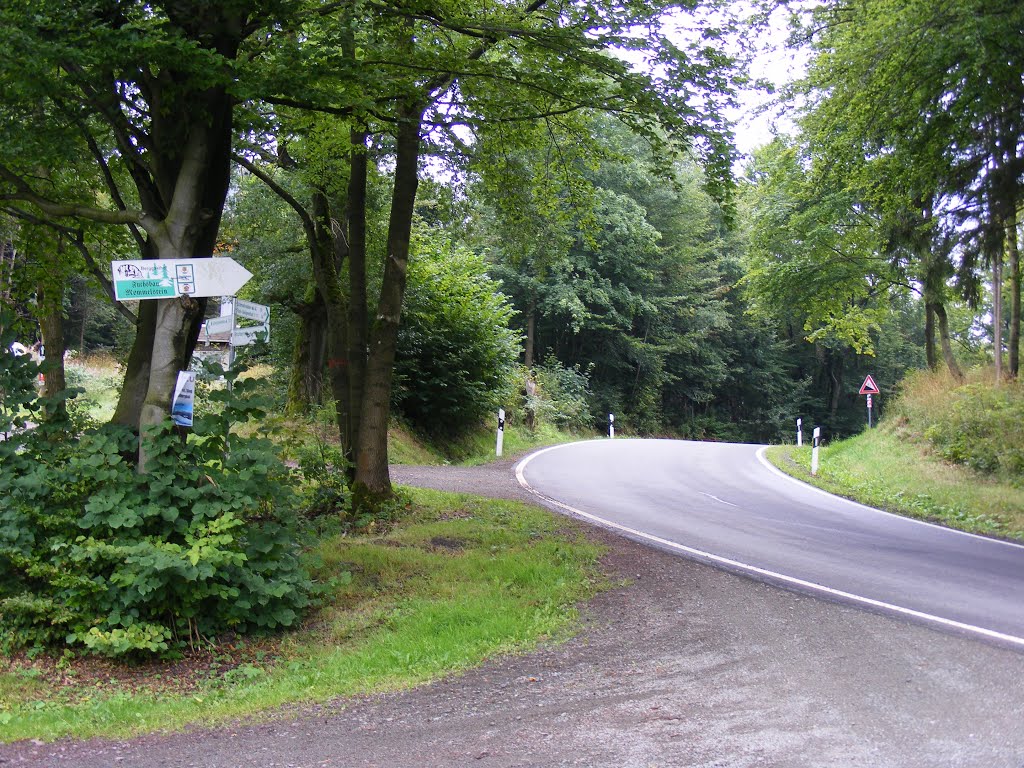 L 1127 Brotterode Parkplatz am Panoramaweg, Abzweig zum Fuchsbau Mommelstein by velthurvik