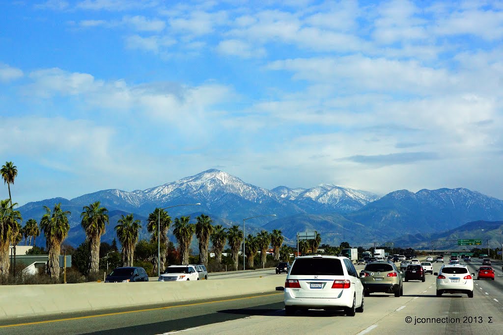 Looks at Palms ►Calimesa, CA by Easy Street Images ©